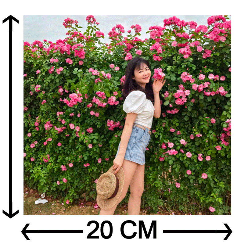 Resize Image in cm